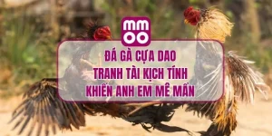 Đá Gà Cựa Dao