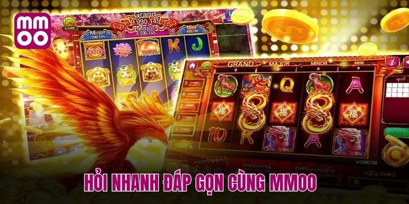 Hỏi nhanh đáp gọn cùng MMOO