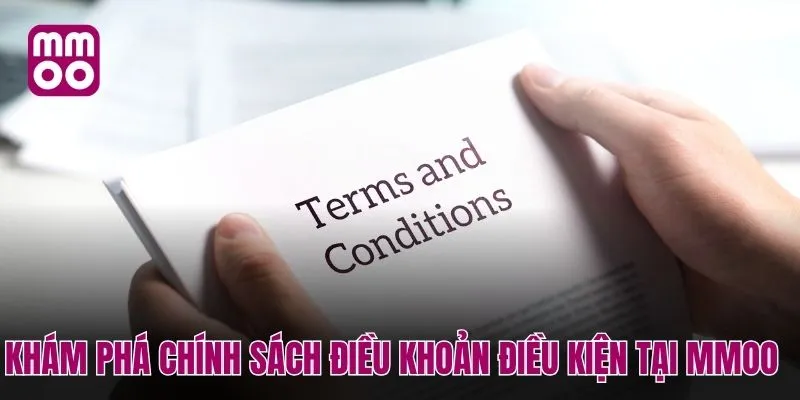 Khám phá chính sách điều khoản điều kiện tại MMOO