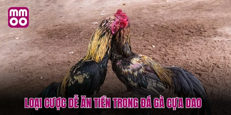 Loại cược dễ ăn tiền trong đá gà cựa dao