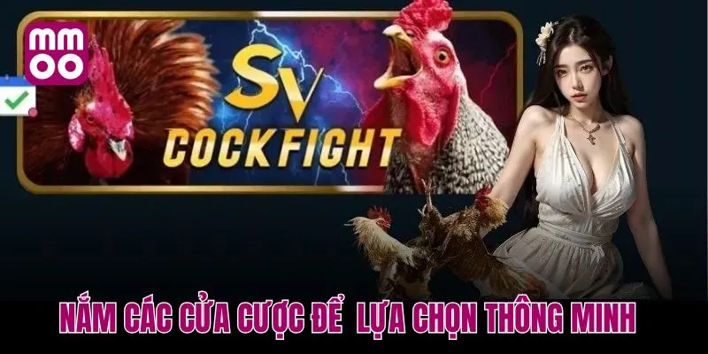 Nắm rõ các cửa cược để đưa ra lựa chọn thông minh hơn