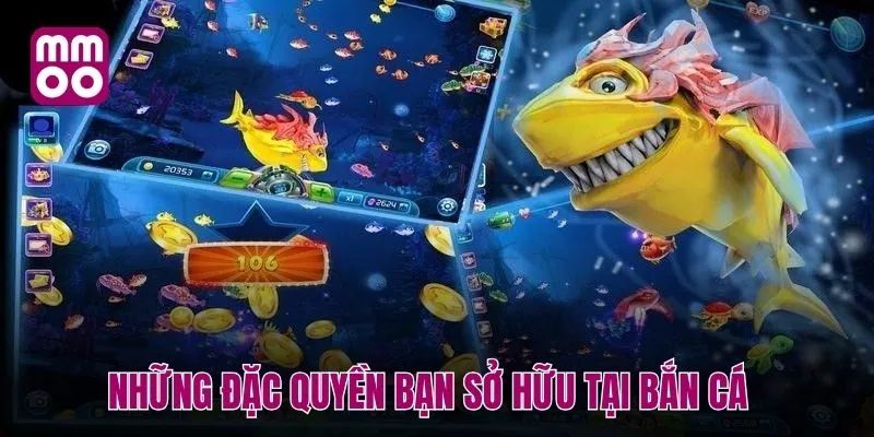 Những đặc quyền bạn sở hữu tại bắn cá