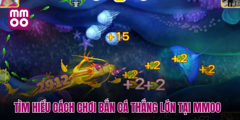 Tìm hiểu cách chơi bắn cá thắng lớn tại MMOO